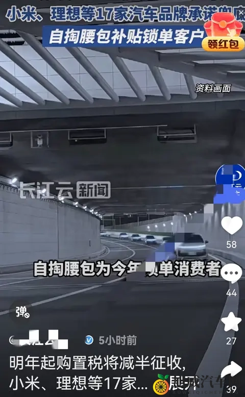 新能源车购置税优惠缩水，17家车企紧急自掏腰包保销量-3