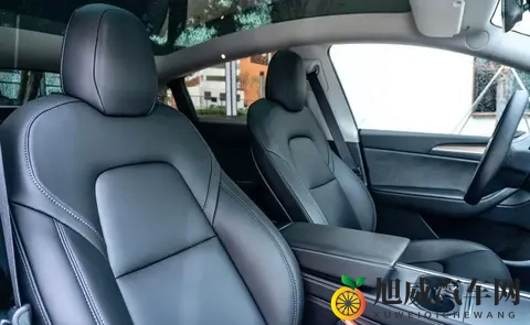 特斯拉Model Y821公里续航，2885万值不值？四大版本终极选购指南-2