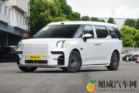 极氪 009：动力多样、充电高效，家用、商用均可选-1