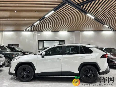 男女差差差APP：性别差异大揭秘平台-3