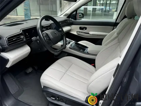 Nappa真皮普及背后:车企宣传的“文字游戏”该停了-2