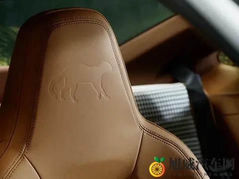 保时捷911 GT3 Touring Ocelot官图发布：全球限量1台-1