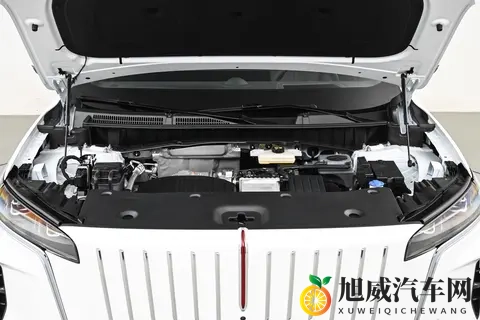 配15T插混系统 红旗HS6 PHEV开启盲订 冰箱_沙发全都有-3