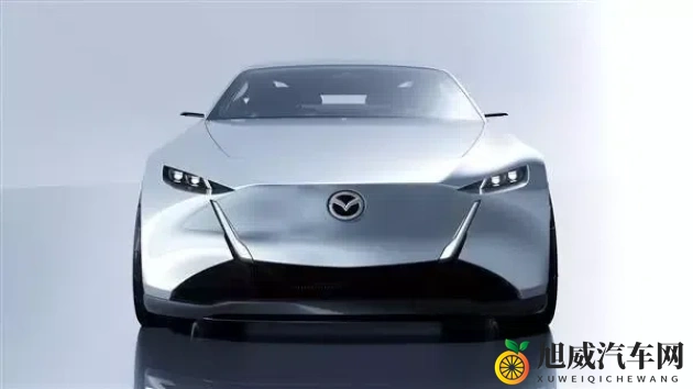 大陆模特Sm捆绑系列：汽车时尚新风潮：创新设计引领潮流-1