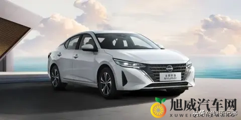 燃油车销量回暖:短期波动,能否逆电动化大势-2