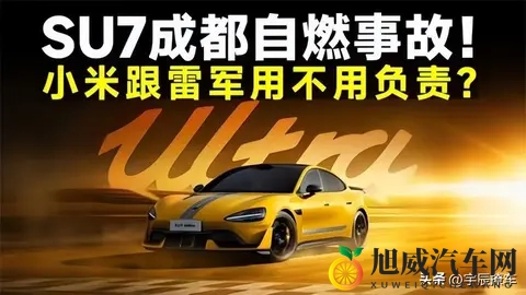 每万辆车自燃52辆却无人问津 新能源车为何成背锅侠-3