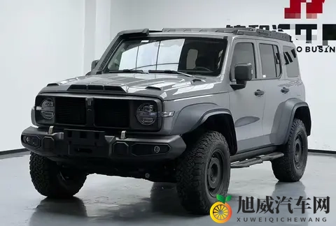 23年一手坦克300铁骑02，29万公里，圆你越野梦！-3