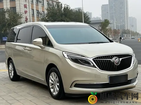 宜商宜家好选择，二手别克GL8尊享型，13万多拿下！-3