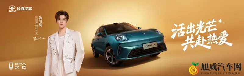 预算十多万买纯电SUV,终于不用再“委屈”了。-1