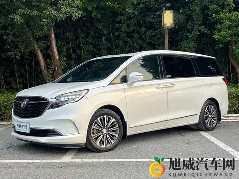 男生的香蕉插进女生的桃子里：新能源汽车领航绿色出行新时代-1