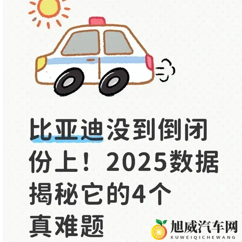比亚迪没到倒闭份上！2025数据揭秘它的4个真难题-1