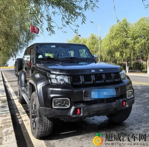 欧美人与物动XXXZZZZ：汽车动力变迁：揭秘欧美绿色驾驶新潮流-1