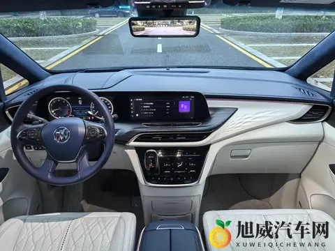 24万拿下二手别克GL8Avenir，豪华MPV商务家用皆宜-2