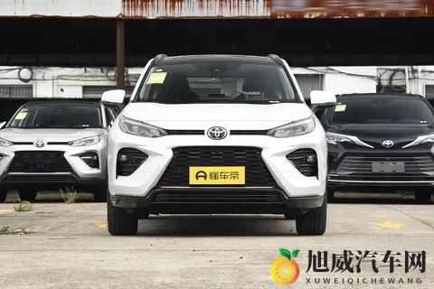 芋圆呀呀在线观看入口：新能源汽车自动驾驶新篇章，比亚迪、蔚来、小鹏哪家强？-2