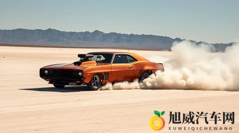 毛茸茸成熟亚洲人：亚洲成熟人士分享：驾驶体验舒适与操控双赢-2