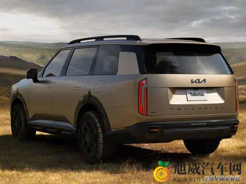 起亚全新中大型SUV官图，外观很方正硬朗，两种前脸，2+2+3座椅-2