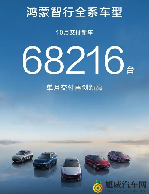 政策收紧前夜车市上演最后狂欢,谁在狂奔谁掉队?-2