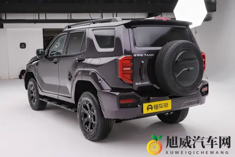 全新坦克400 四种动力如何选？  购车分析-2