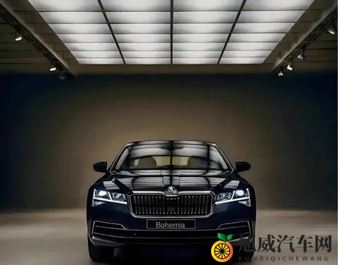 男女差差APP:汽车新视角:独家解读新能源汽车趋势-2