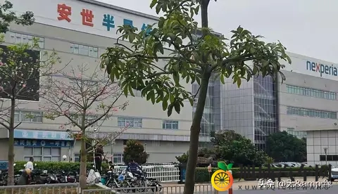 安世事件爆发一个多月后，以荷兰“认输”的结局告终？-2