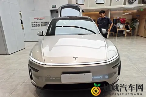 2024新能源车市风向标：豪华品牌电动化转型谁领跑？-1