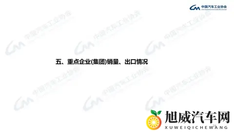 翻倍增长！新能源汽车出口首超200万辆-3
