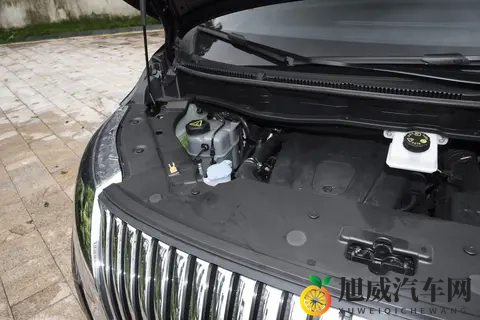 家用MPV怎么选？魏牌高山7凭何受青睐？看完这几点你就明白了-3