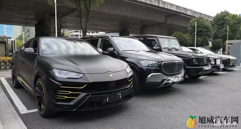 豪车车主挤爆岚图店!泰山引土豪竞折腰-1