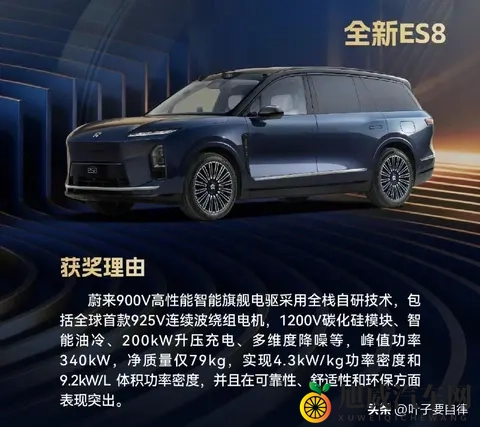 2025“中国心”榜单：燃油混动和纯电，谁才是真赢家？-3