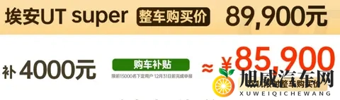 租电价499万元，京东“国民好车”到底值不值？-1