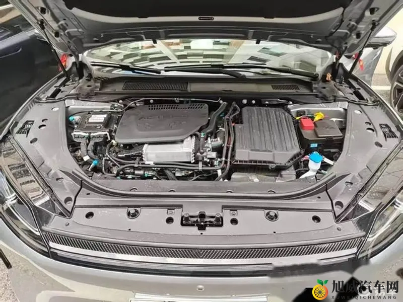 欧美wwww：欧美汽车市场新格局：电动汽车崛起，智能网联成新宠-1