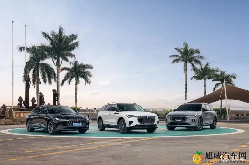 豪华、高性能、大空间、省油，一辆车就能全部满足！-1