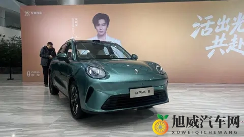 欧拉5预售：1098万元起的“光芒搭子”，能否照亮欧拉品牌的前路-2