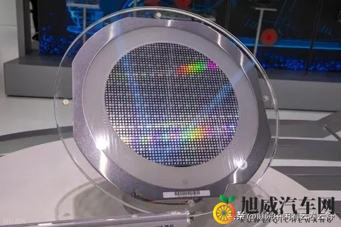 中国一记反制，荷兰秒怂，全球车企松口气！-1