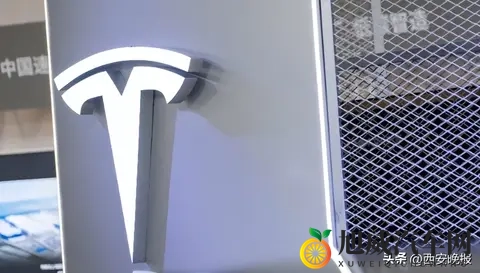 出口超35万辆，特斯拉上海超级工厂创2年来单月最高纪录-1