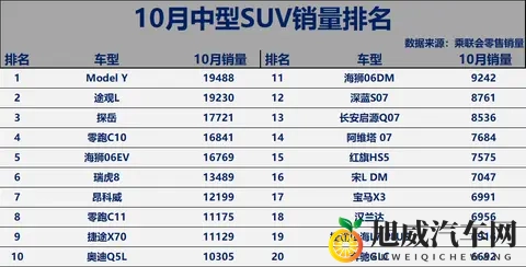 有点惨！10月中型SUV销量榜：Model Y险胜，昂科威、零跑C11破万！-1
