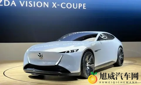 东京车展观察：熟悉又陌生的日系车与单刀赴会的国产力量-1