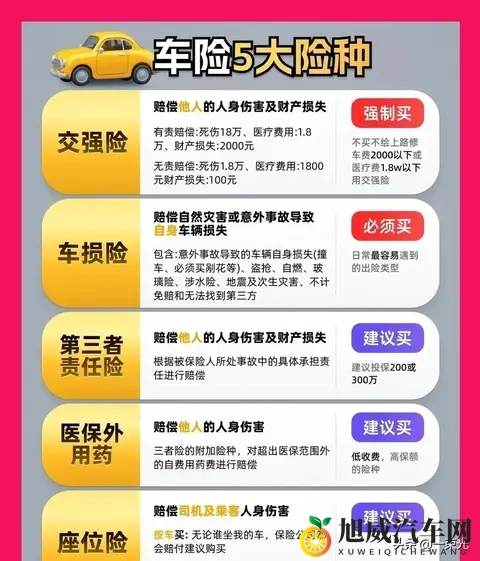 2025车险别乱买！5大险种的“省钱买法”我帮你算透-1