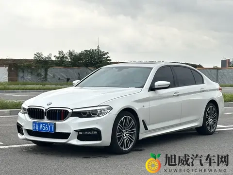 www欧美：电动车销量猛增，欧美市场智能驾驶风起云涌-2