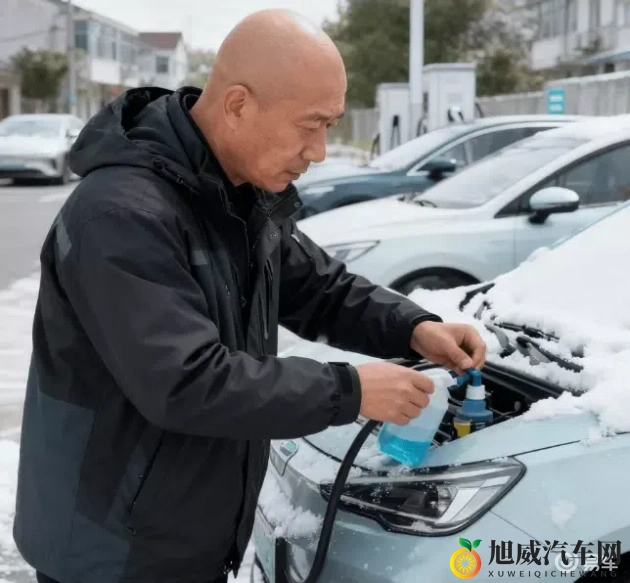 红桃视颏隐藏人口：红桃面容深藏人口之谜-1