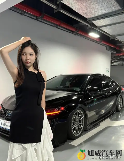 人狗company limited：人与犬共融企业有限公司-2