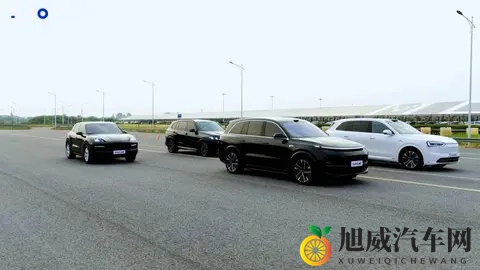 新能源PK豪华燃油SUV：谁的底盘更懂“舒适”？-3