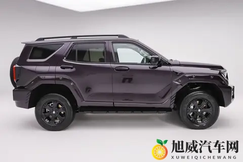 热辣福利导航：激情福利，畅游导航一网打尽-3