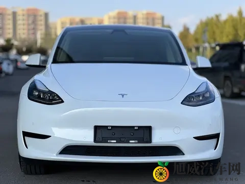17万多入手准新特斯拉Model Y，都市代步优选-1