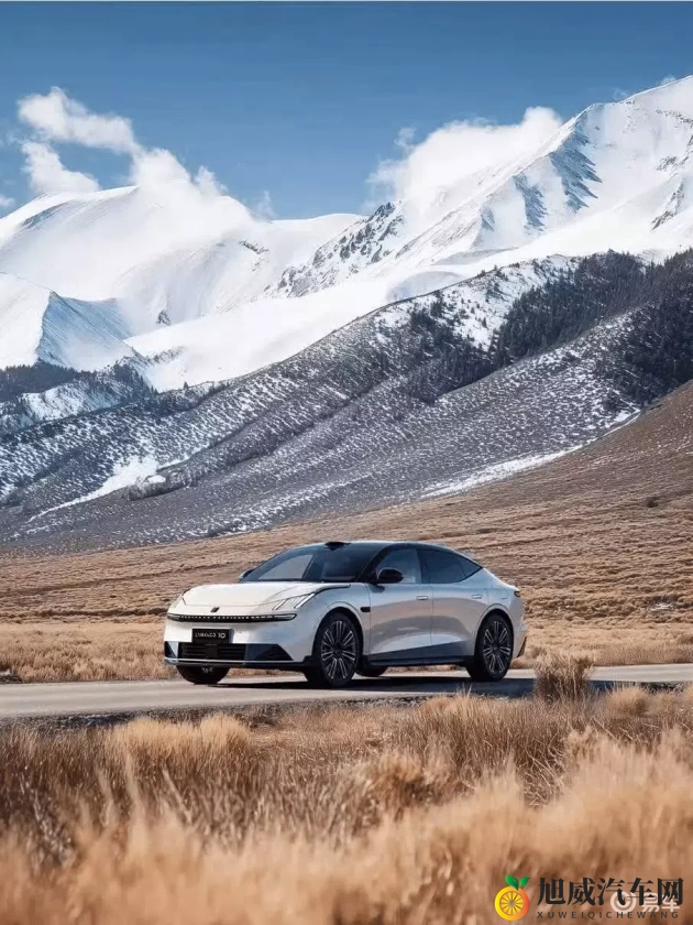 打扑克又喊又叫：扑克牌局中欢声笑语不断-1