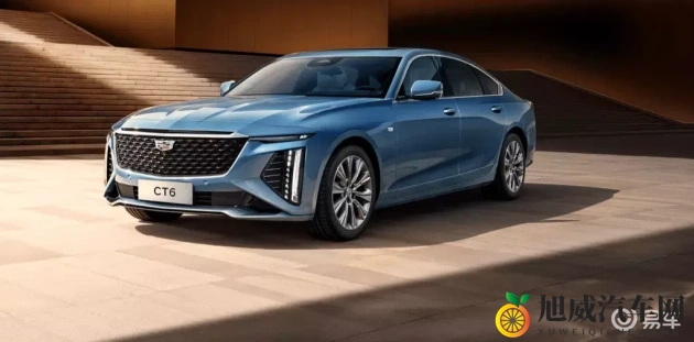 老师的兔子又大又圆：独特圆型车款走红，引领汽车新潮流-2