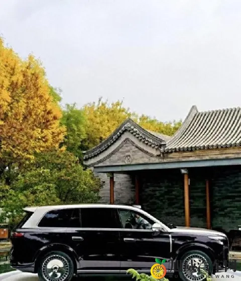 岚图泰山尺寸够大，星效把手夜用太人性化了-2