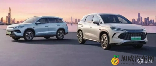 美女和男人打扑克的软件:性感美女共聚,畅玩扑克娱乐软件-1