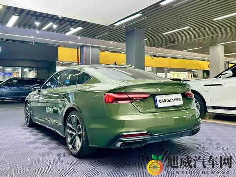 男女打扑克视频软件：汽车未来：智能驾驶与新能源革命-1