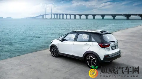 黑色DD4黑色正版下载：《高清正版黑色DD4资源免费获取》-3